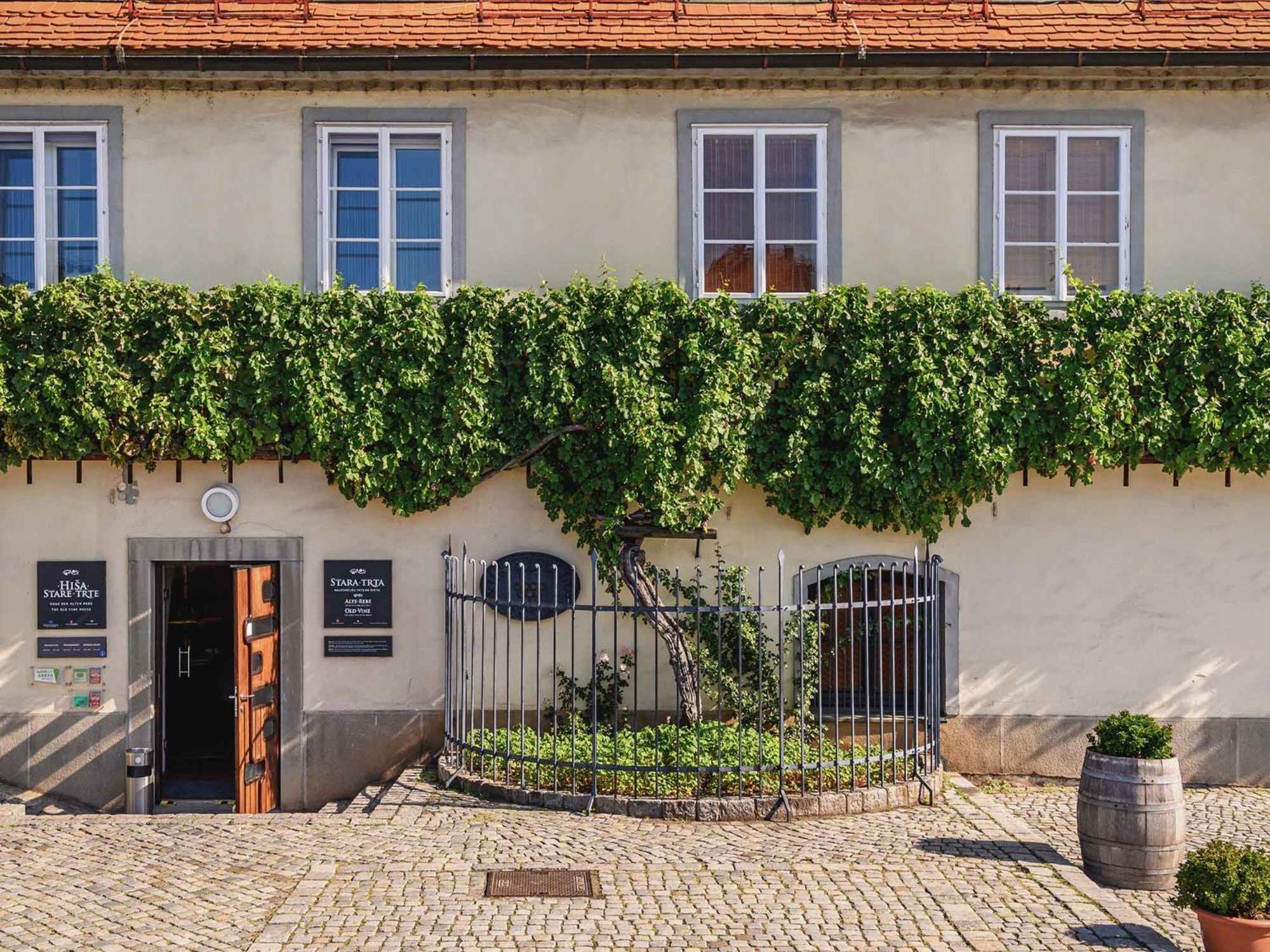 Kavenija Apartmaji - Free Parking マリボル エクステリア 写真
